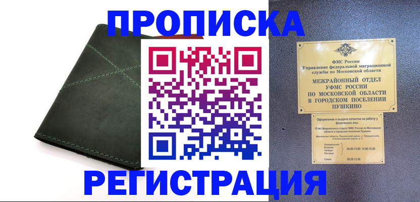 прописка в квартире в Тайге